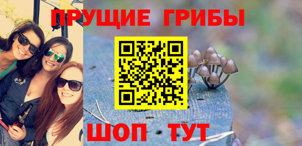 Первоуральск  Галлюциногенные грибы Magic Shrooms  Вход с VPN  Галлюциногенные грибы Psilocybine cubensis 