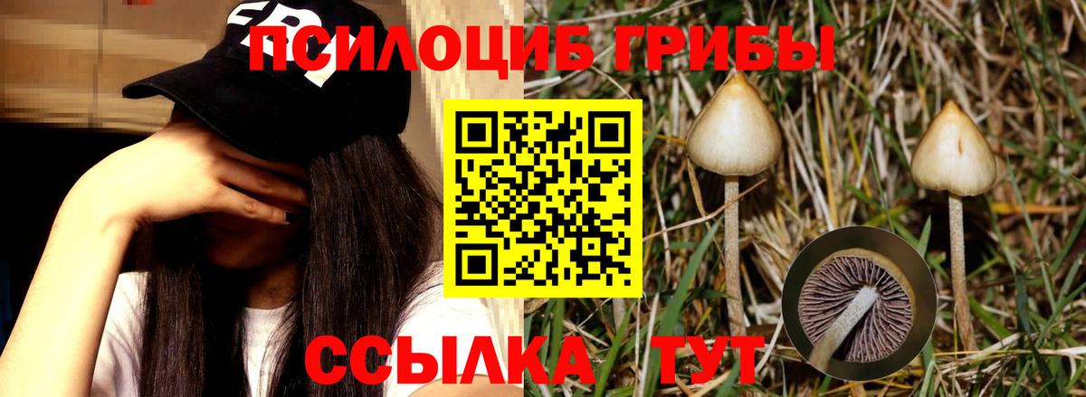 Галлюциногенные грибы мицелий Первоуральск